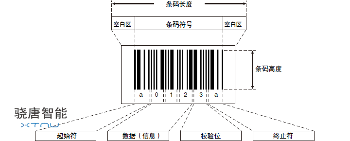 条码结构