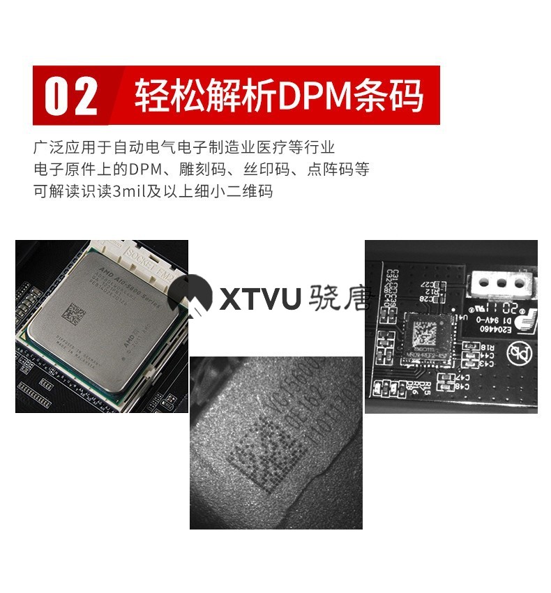 7900-2.jpg