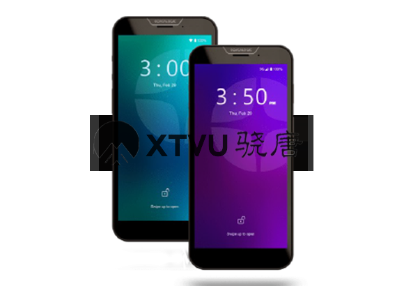 Datalogic Memor 30-35